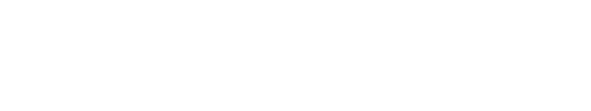 FileSure Academy Logo - Simplifying RoC Compliance